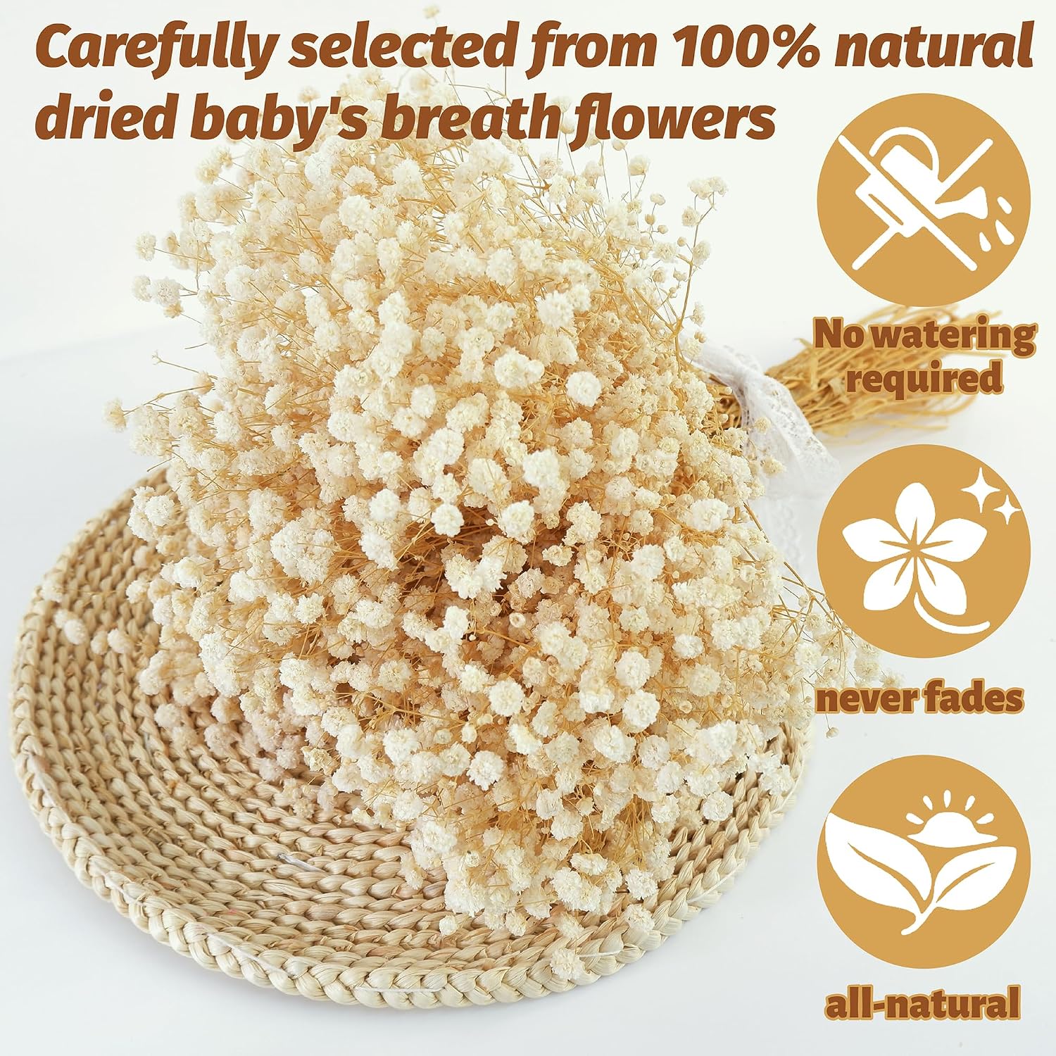 Natural Dried Baby's Breath Fl - Art Craft 2 Year Olds review and price