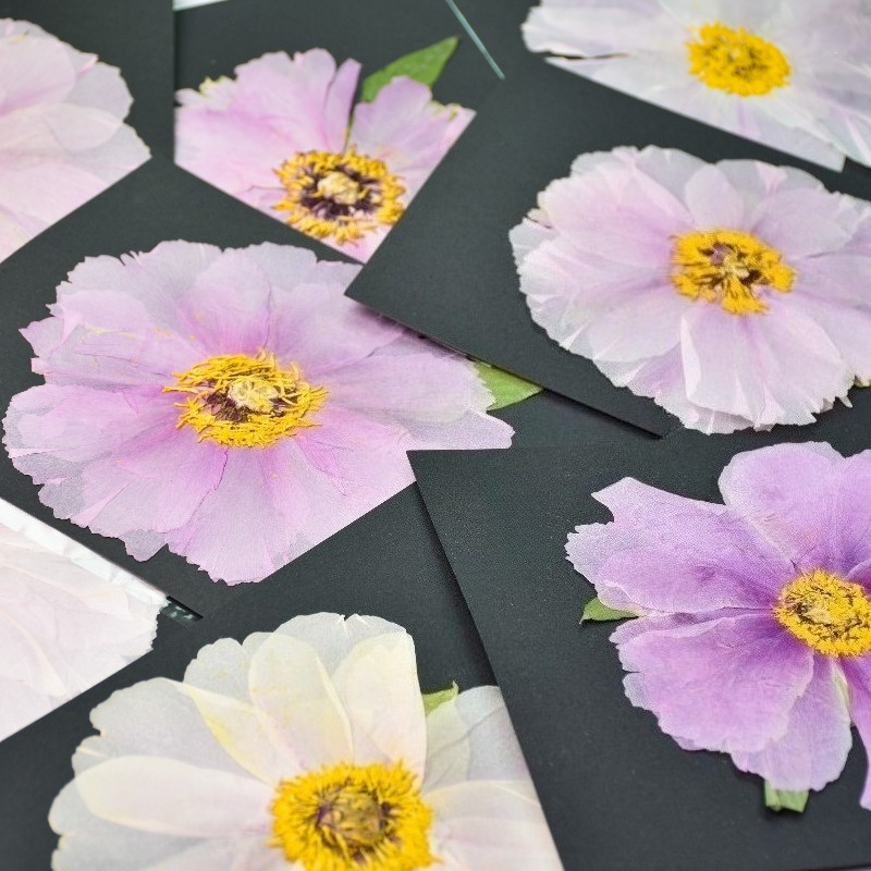 1pcs,Nature Big Size Peony Rea - Art Craft 2 Year Olds review and price
