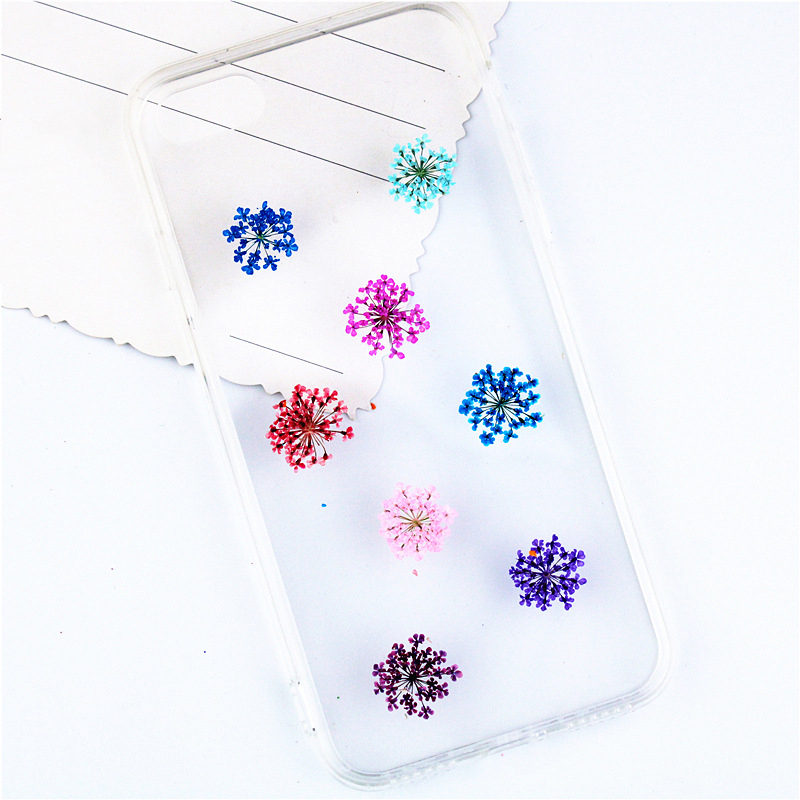 12/24Pcs Pressed Flower Snowdr - Art Craft 2 Year Olds review and price